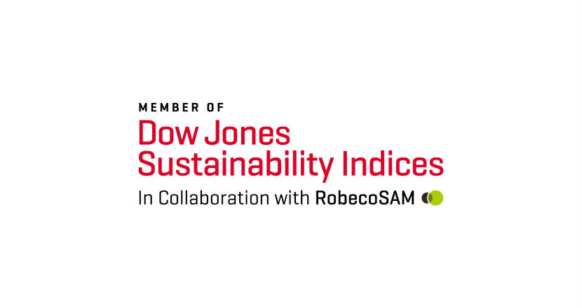 The Dow Jones Sustainability Index Chile logo