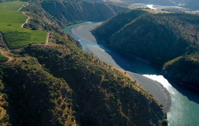 Concha y Toro the first wine company  in the world to certify its native forests under FSC standards