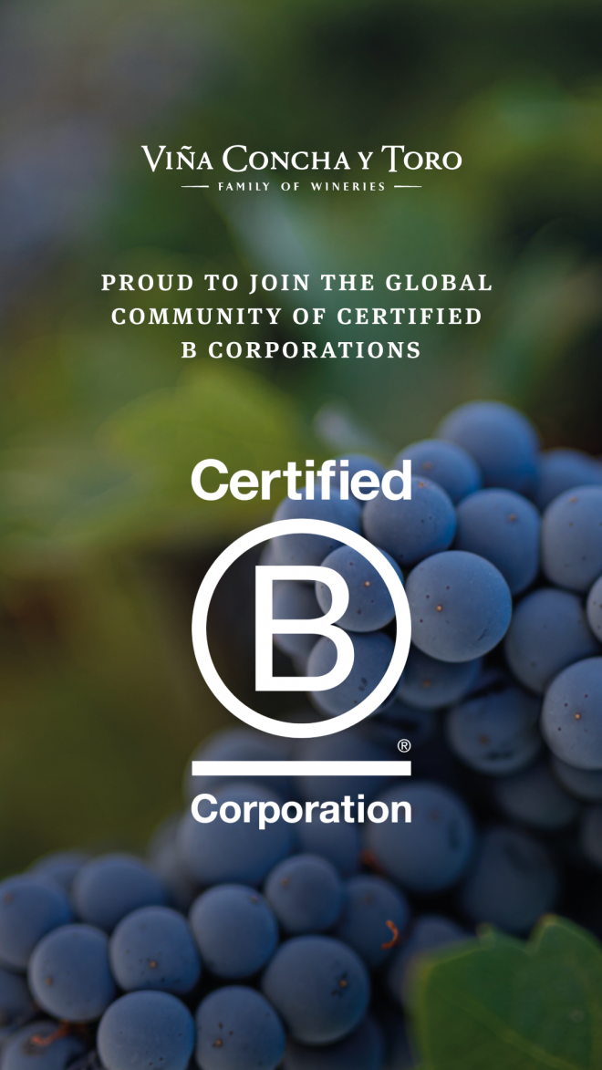 Vina Concha y Toro achieves B Corp Certification