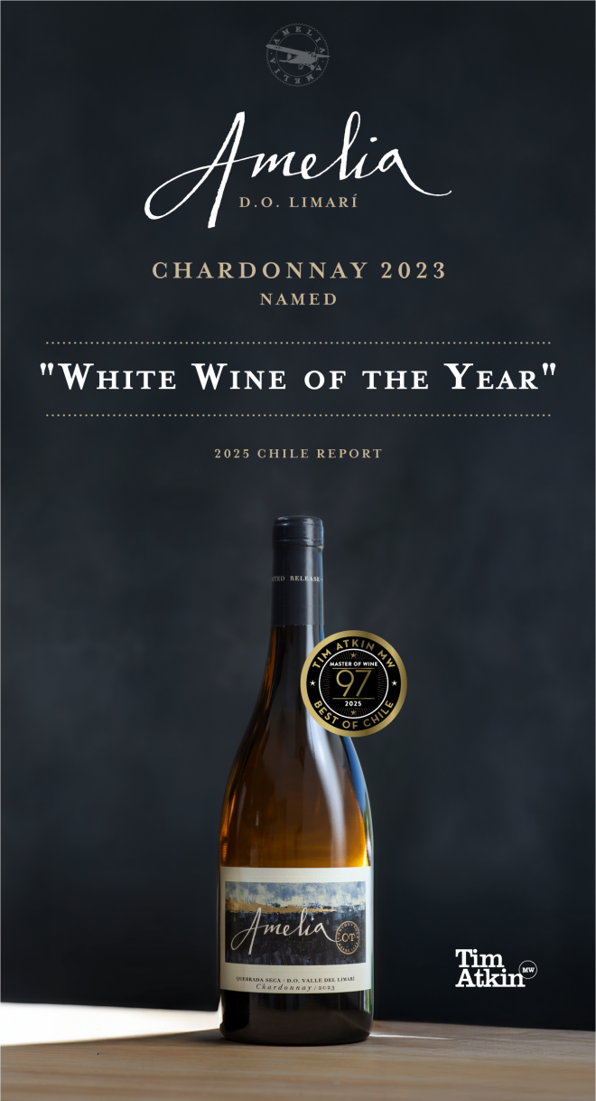 Amelia Chardonnay is voted 'White Wine of the Year'